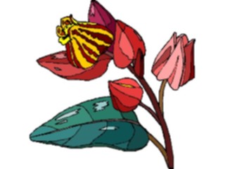 Sticker Custom Preview Image #103446 Plants Flowers Flowers Flower236