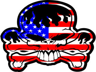 America Skull Flame U S A_ C L 1 Decal Proportional