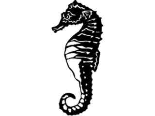  Seahorse_ 1 4 0_ V A 1 Decal Proportional