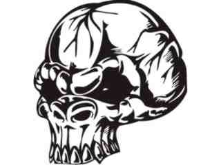  Skulls Monster_ 0 1 7 Decal Proportional