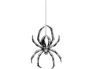  Spider Down The Web Decal Proportional