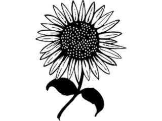  Sun Flower Decal Proportional