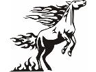  Animal Flames Horse 0 0 1b A F 1 Decal