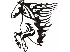  Animal Flames Horse 0 0 5b A F 1 Decal