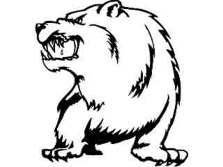  Bear Growl_ 0 4 1_ V A 1 Decal Proportional