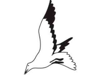  Birds Misc_ 1 8 5 Decal Proportional