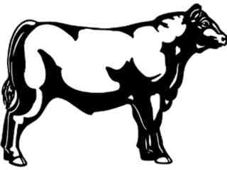  Cows_ Angus_ 1 3 3_ V A 1 Decal Proportional