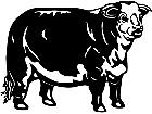 Cows Hereford 1 3 3 V A 1 Decal