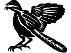  Dinosaurs Archaeopteryx 1 3 5 V A 1 Decal