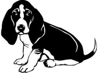  Dogs_ Basset Hound 0 2 D R_ P A 1 Decal Proportional
