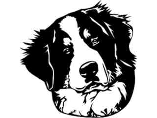  Dogs_ Bernese Mountain Dog 0 2 D R_ P A 1 Decal Proportional