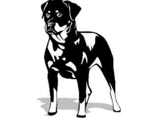  Dogs_ Rottweiler 0 2 D R_ P A 1 Decal Proportional