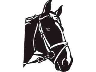  Domestic Animals_ Horse 0 1_ P A 1 Decal Proportional