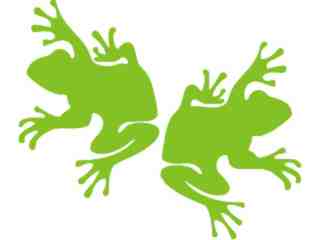  Frog Pair Decal Proportional