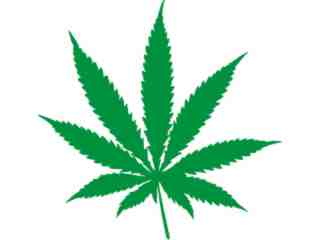  Marijuana Leaf Weed Decal Proportional