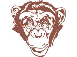  Monkey Chimp Decal Proportional