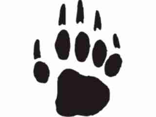  Paw Prints_ 1 6 Decal Proportional
