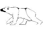  Polar Bear 1 4 5 V A 1 Decal
