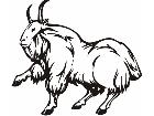  R Am Billy Goat Animal Wild 0 2 5a Decal