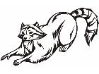  Racoon Animal Wild 0 4 9a Decal