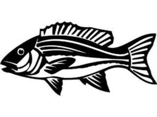  Red Snapper Fish_ 1 4 1_ V A 1 Decal Proportional