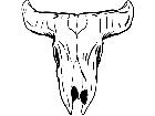  Skull Longhorn 0 6 1 V A 1 Decal