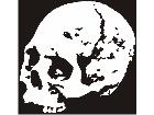  Skull Real Decal