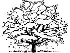  Trees Cherry 1 5 8 V A 1 Decal