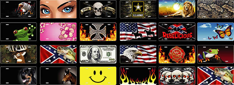 airbrushed license plates