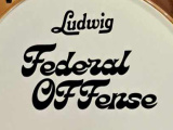 Federal Offense's custom vinyl sticker project