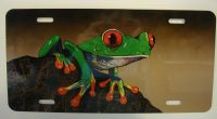 Red Eye Tree Frog car plate graphic