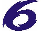  6- Racing Decal