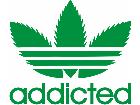  Addicted Decal