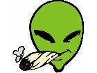  Alien Blunt G D 1 Decal
