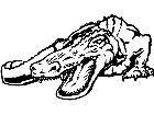  Alligator Sneak M B 1 Decal