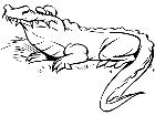  Alligator 0 4 4 V A 1 Decal