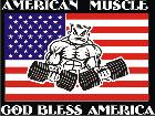  American Muscle Flag C L 2 Decal