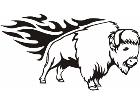  Animal Flames Bison Buffalo 0 7 7b A F 1 Decal