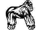  Ape Gorilla Pose 2 M B 1 Decal