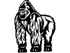  Ape Gorilla Pose M B 1 Decal