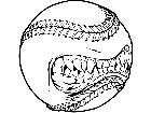  Baseball Teeth M B 1 Decal