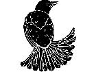  Birds Blackbird 1 2 9 V A 1 Decal