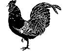  Birds Rooster 1 2 9 V A 1 Decal