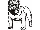  Bulldog Stance M M 1 Decal