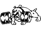  Bulldog Weightlifter Heavy Decal