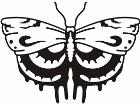  Butterfly Tribalized 1 0 0 Decal