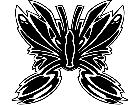  Butterfly Decal