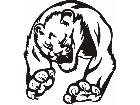  Cats Big Lions Tigers Panthers 0 4 3 Decal