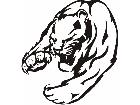  Cats Big Lions Tigers Panthers 0 4 4 Decal