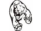  Cats Big Lions Tigers Panthers 0 4 9 Decal